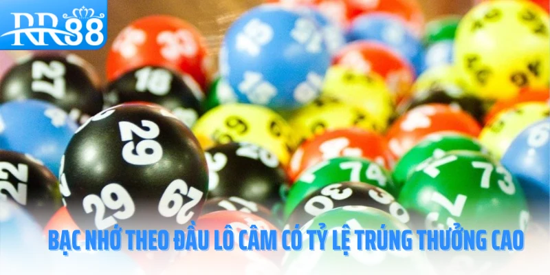 bac-nho-rr88-lo-cam