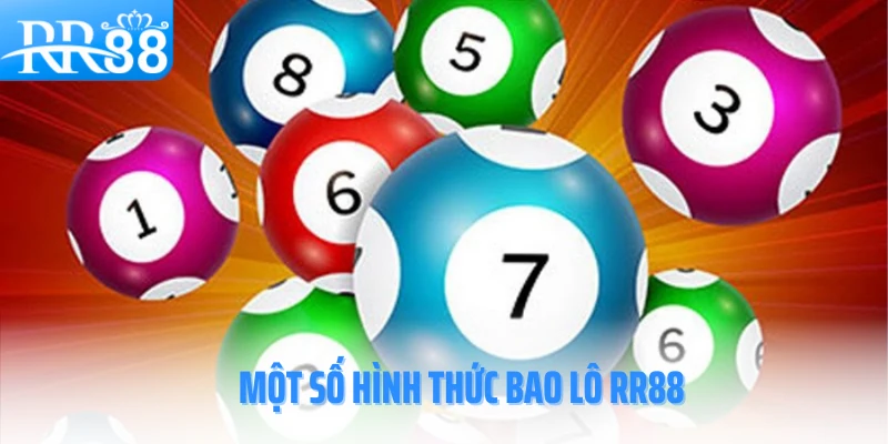 bao-lo-rr88-hinh-thuc