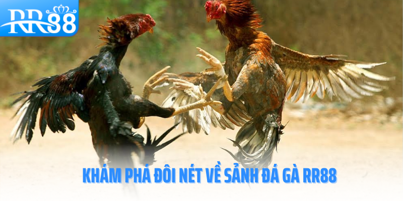 da-ga-rr88-kham-pha