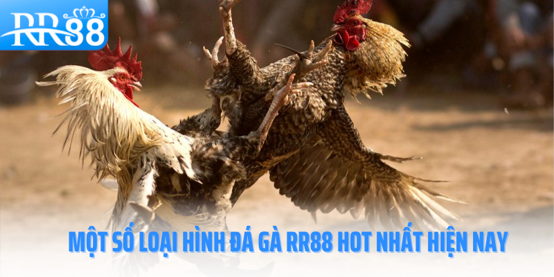 da-ga-rr88-mot-so