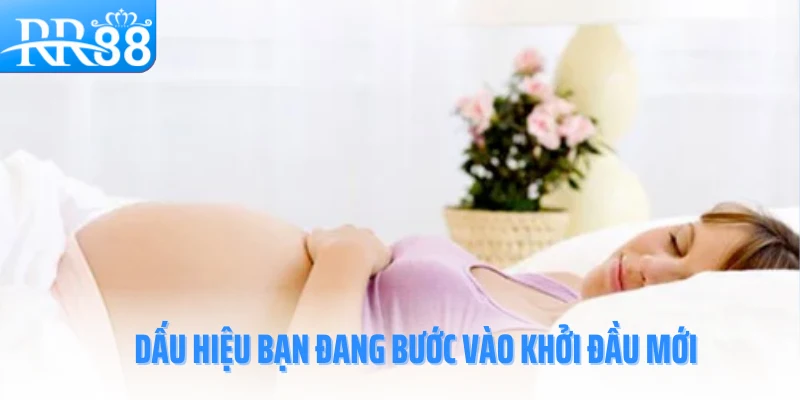 mo-thay-co-bau-rr88-dau-hieu
