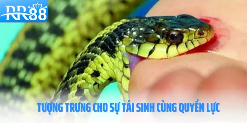 mo-thay-ran-rr88-tai-sinh-cung-quyen-luc